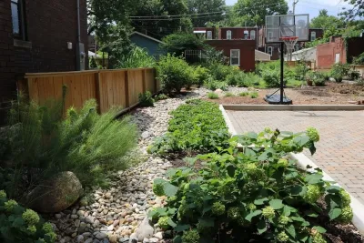 Rainscaping / Rain Gardens — Landscape Construction project by Quiet Village Landscaping in Rock Hill