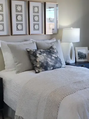 Richmond American Showcase Home — Interior Design & Decorating project by Dana Stringer Interiors
