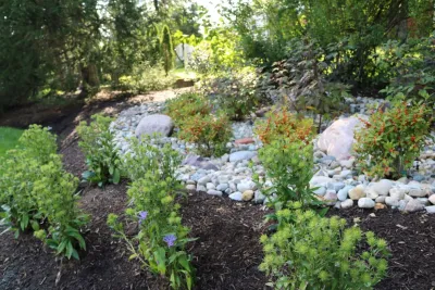 Rain Garden for Drainage Issues by Quiet Village Landscaping