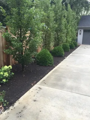 R W Thompson Landscaping - Landscape Design in Lexington, KY