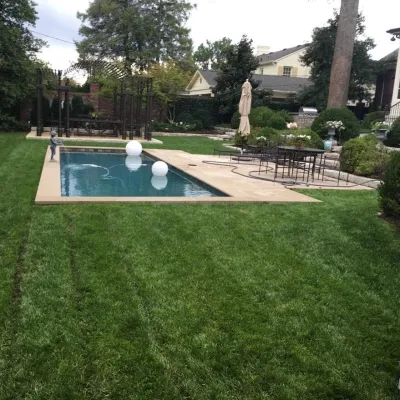 Backyard Pools — Landscape Construction project by R W Thompson Landscaping