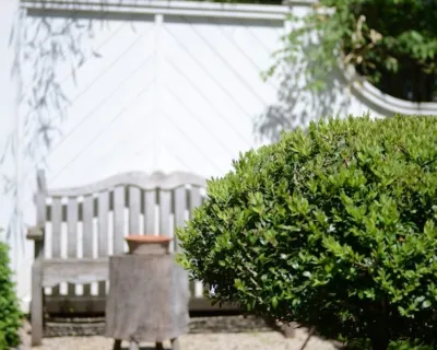 Carter House — Landscape Construction project by R W Thompson Landscaping