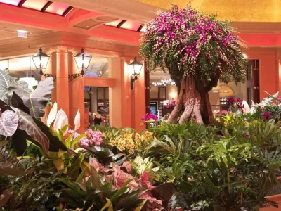 Interior Landscaping by Raimondi Hort Grp | The Little Flower Shoppe
