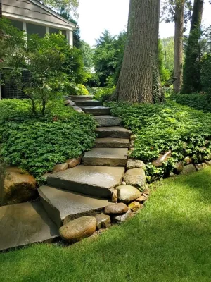 Backyard Landscape Project — Landscape Construction project by Raimondi Hort Grp | The Little Flower Shoppe