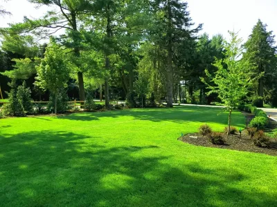 Plant and Sod Installation — Landscape Construction project by Raimondi Hort Grp | The Little Flower Shoppe