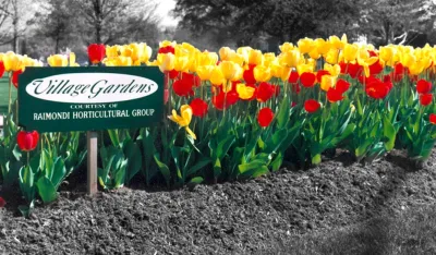 Community Spaces by Raimondi Hort Grp | The Little Flower Shoppe