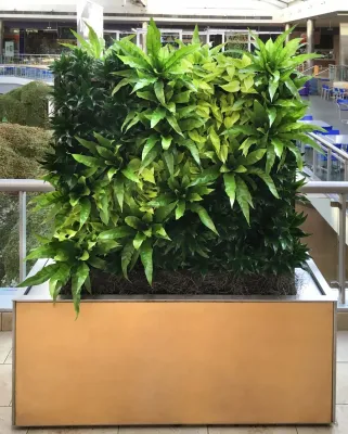Green and Living Walls — Landscape Construction project by Raimondi Hort Grp | The Little Flower Shoppe in Ho-Ho-Kus