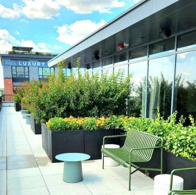Rooftop Gardens — Landscape Construction project by Raimondi Hort Grp | The Little Flower Shoppe