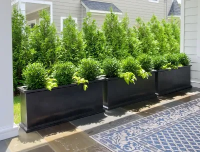Potted Plants for Residential Spaces — Landscape Construction project by Raimondi Hort Grp | The Little Flower Shoppe in Ho-Ho-Kus