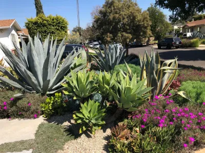 RainforestLA,inc. - Sprinkler Installation & Repair in Los Angeles, CA