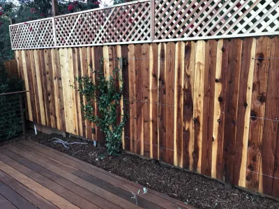 RainforestLA,inc. - Sprinkler Installation & Repair in Los Angeles, CA
