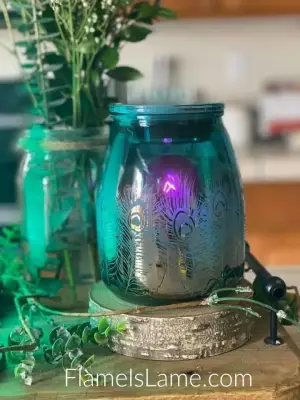 Sonya Pritchett Independent Scentsy Consultant - Interior Design & Decorating in Derby, KS