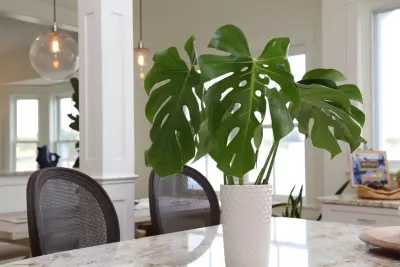Life Styled Interior Design - Interior Design & Decorating in Portsmouth, NH