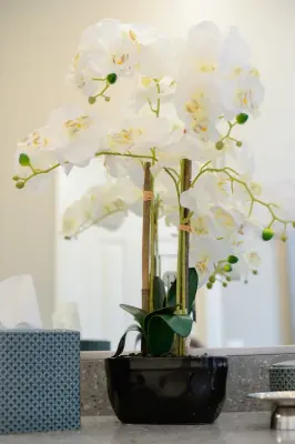 DESIRED SPACE | Interior Planning & Design - Kitchen Remodeling in Las Vegas, NV