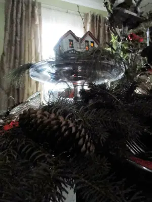 SPODE HOLIDAY — Interior Design & Decorating project by Divine Interiors