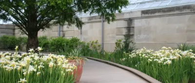Rasevic Landscape Company - Landscape Maintenance in Ijamsville, MD