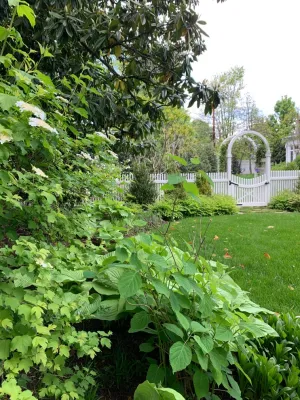 Rasevic Landscape Company - Landscape Maintenance in Ijamsville, MD