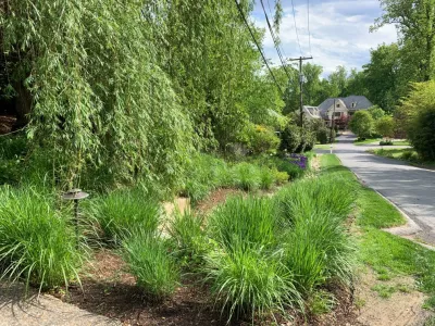 Rasevic Landscape Company - Landscape Maintenance in Ijamsville, MD