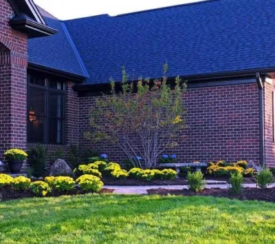 Ray's Lawn & Home Care - Tree & Shrub Care in Lincoln, NE