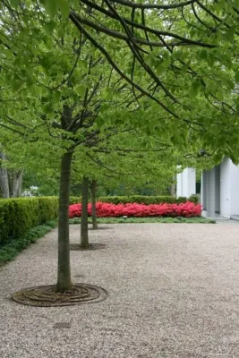 Reed Dillon & Associates - Landscape Construction in Lawrence, KS