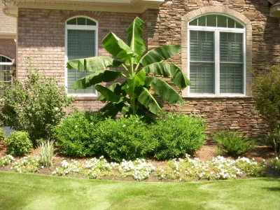 Reed Landscape Irrigation, LLC - Paver Installation in New Bern, NC