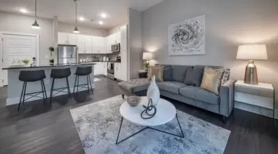 Interiors Revitalized - Professional Home Organizers in Jacksonville, FL