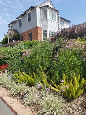 Renew Landscape Management - Patio Design & Installation in Long Beach, CA