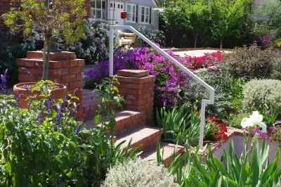 Renew Landscape Management - Patio Design & Installation in Long Beach, CA