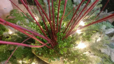 Holiday Planter — Landscape Construction project by Rent A Gardener LLC in Cadillac