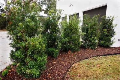 Resource Landscapes LLC - Drip Irrigation System Installation in Covington, LA