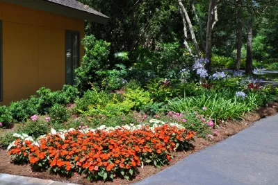 Front Yard Landscape — Landscape Construction project by Resource Landscapes LLC in Covington
