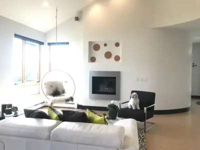 Modern Living Room in Traverse City — Interior Design & Decorating project by Dkasa Interiors