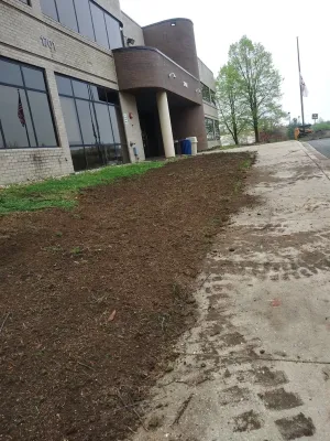 RH Hilarios Landscaping LLC - Seasonal Yard Cleaning in Hyattsville, MD