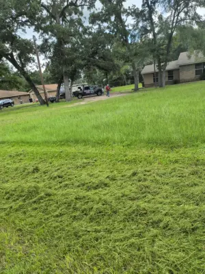 Quick Fix Kris - Insulation Installation in Huntsville, TX