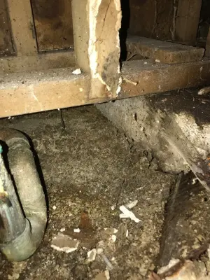 Vickie's Closet LLC - Handyman Services in Bloomington, IN