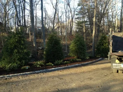 Richard Jones Landscaping LLC - Tree & Shrub Care in Darien, CT
