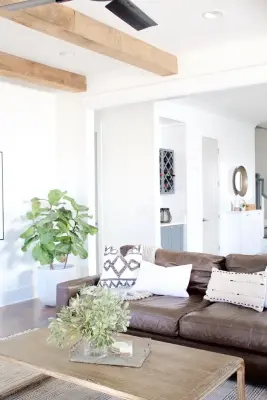 Nashville | Contemporary Nature — Handyman Services project by Hoelzeman Home Improvement