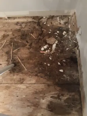 Wood Floor Restoration — Handyman Services project by Down-home Family Construction LLC