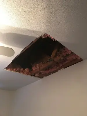 Roof Restoration — Handyman Services project by Handyman Hero
