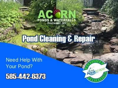 Rochester New York Pond Maintenance Services - Landscape Construction in Rochester, NY