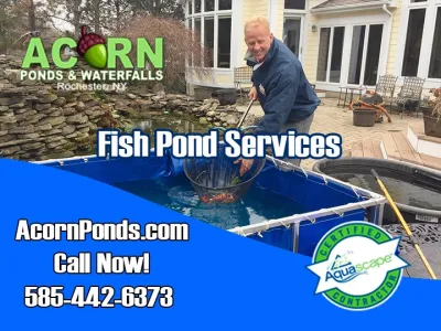 NY-Backyard Fish Pond Maintenance, Cleaning & Repair Services Rochester New York — Landscape Construction project by Rochester New York Pond Maintenance Services in Rochester