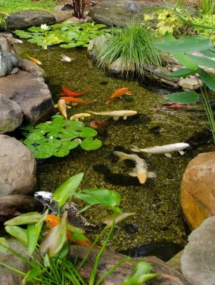 Will A Skimmer Reduce Maintenance Of My Small Pond In Rochester NY? — Landscape Construction project by Rochester New York Pond Maintenance Services