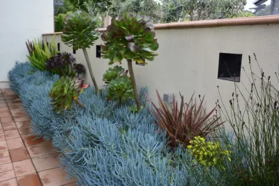 Rock & Rose Landscapes San Francisco - Garden Remodeling in San Francisco, CA