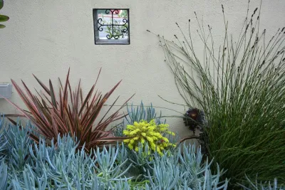 Marina Garden by Rock & Rose Landscapes San Francisco