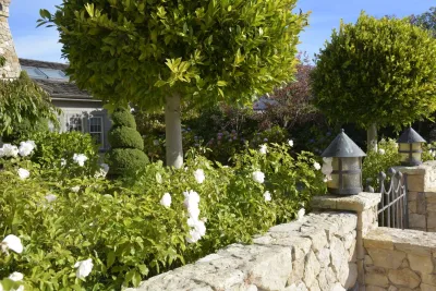Rock & Rose Landscapes San Francisco - Garden Remodeling in San Francisco, CA