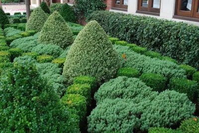 Courtyard Garden — Landscape Construction project by Rock & Rose Landscapes San Francisco