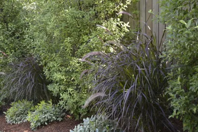Terrace Garden — Landscape Construction project by Rock & Rose Landscapes San Francisco