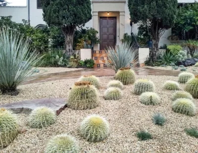 Our Work by Rock & Rose Landscapes San Francisco