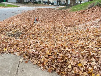 Seasonal Leaf Cleanup — Deck Building & Repair project by Brothers Designs LLC