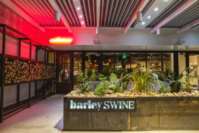 Barley Swine - powered pergola — Deck Building & Repair project by Shade Outdoor Living Solutions